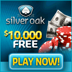 Silver Oak Casino Codes